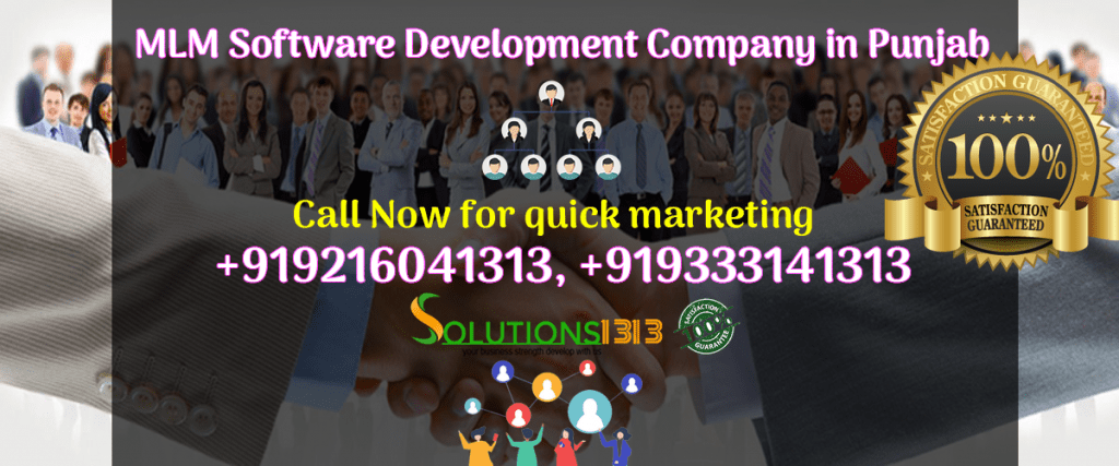 MLM Software Development Company in Mohali