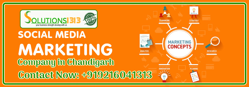 Social Media Marketing Company in Chandigarh