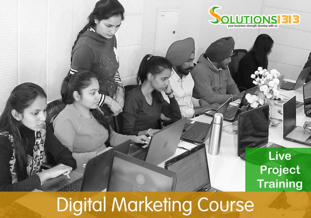 Social Media Marketing Course in Punjab