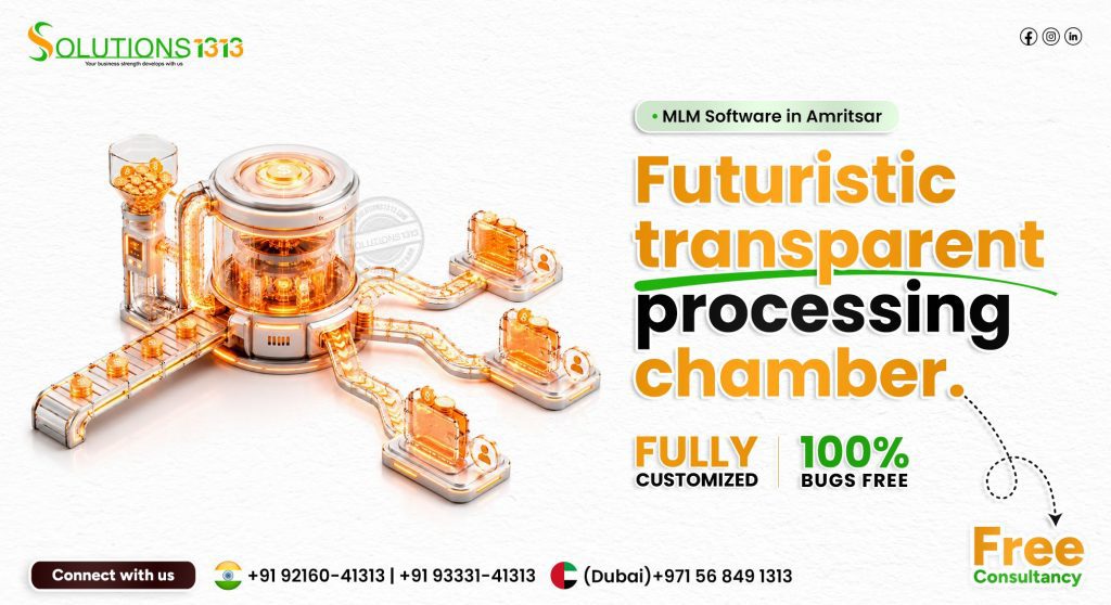MLM Software Development Agency in Amritsar