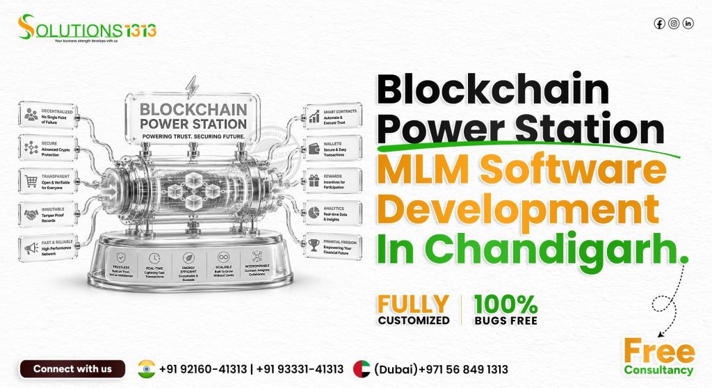 MLM Software Development Agency in Chandigarh