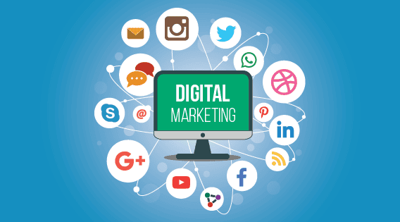 Digital Marketing Course vs Training vs Job